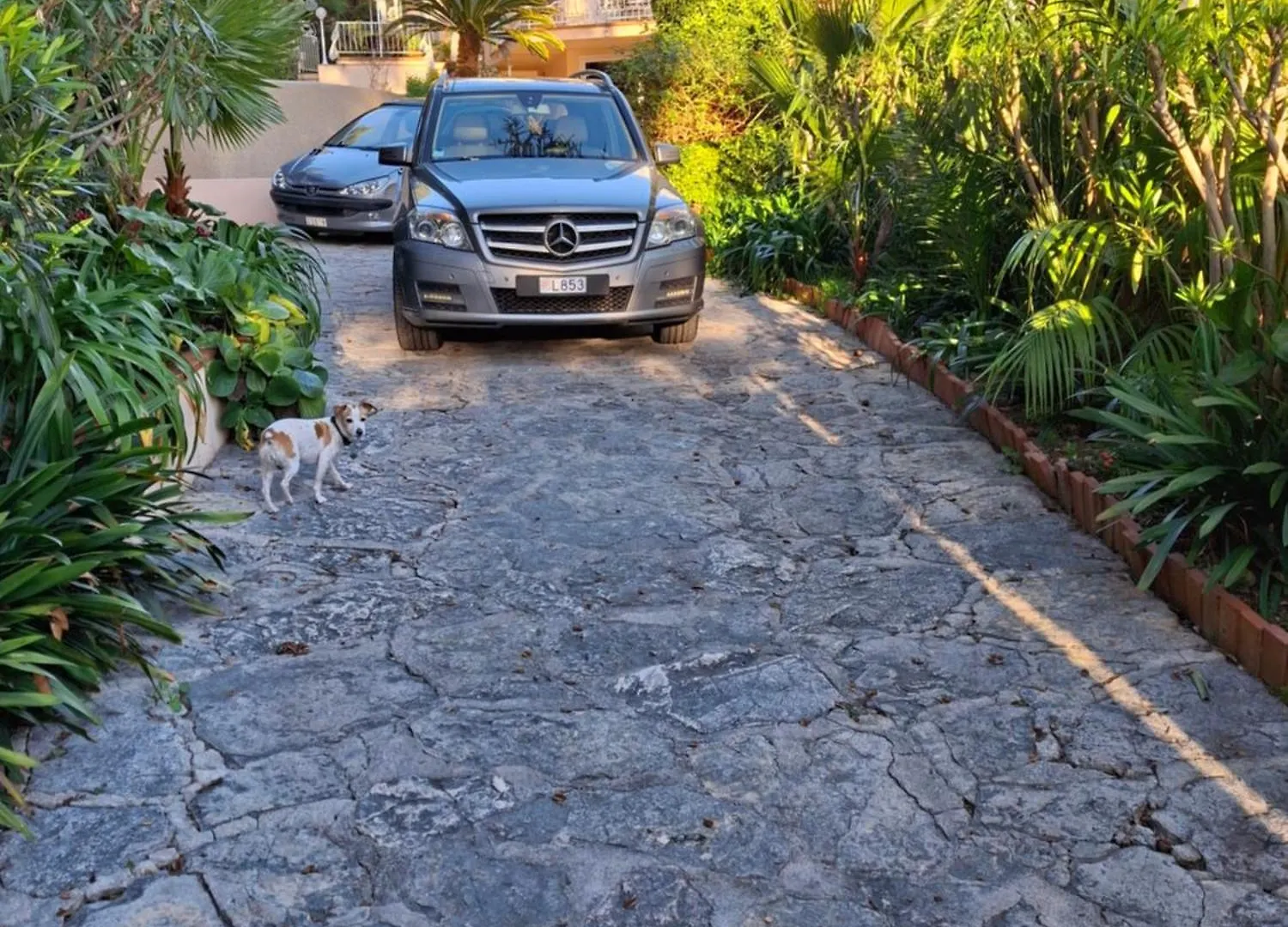 Monaco Cap D'Ail Beautiful Villa With Pool And Seaview For Max 8 People Cap-d'Ail